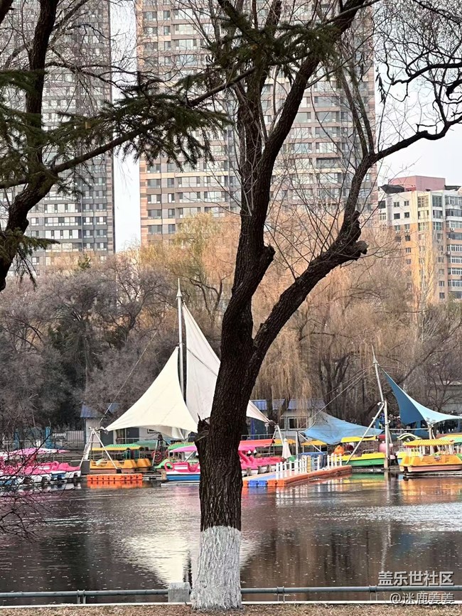 【回顧貼】這個(gè)冬天不太冷~和三星一起冬游南湖！