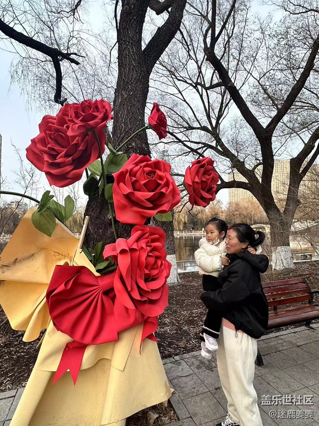 【回顧貼】這個(gè)冬天不太冷~和三星一起冬游南湖！