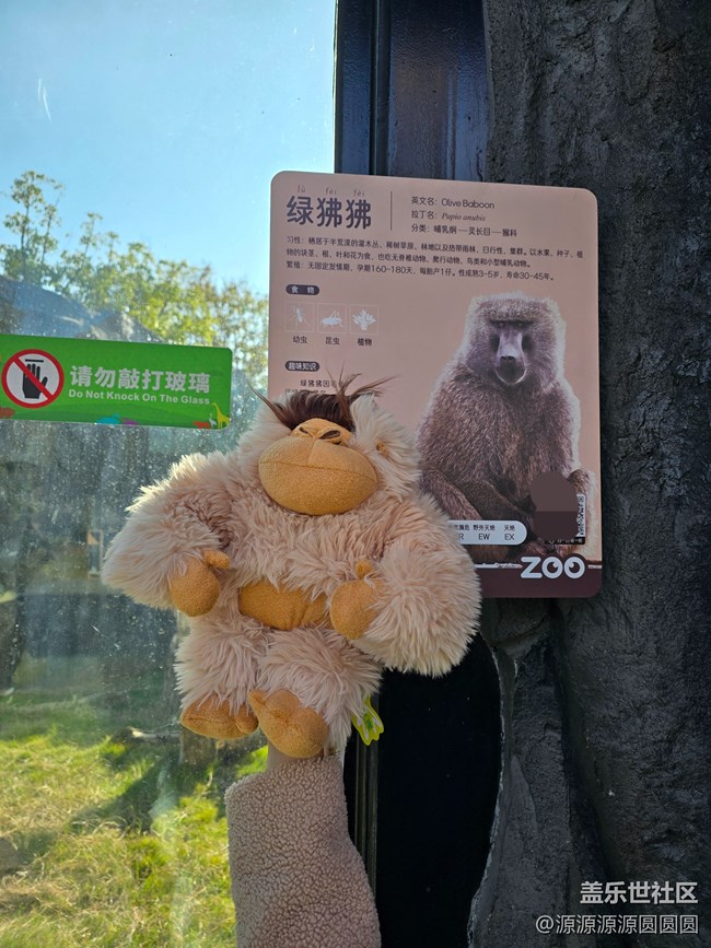 【武漢動(dòng)物園光影之旅】武漢星部落線(xiàn)下活動(dòng)總結(jié)帖