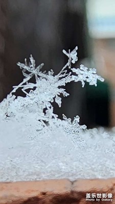 【見(jiàn)微知著】+發(fā)現(xiàn)不一樣的美