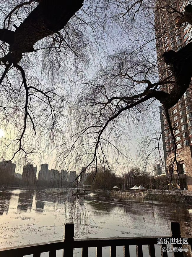 【回顧貼】這個(gè)冬天不太冷~和三星一起冬游南湖！