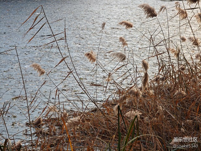 南湖公園攝影活動/回顧
