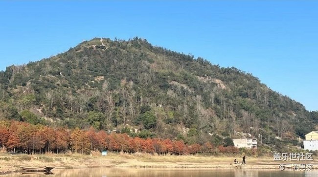 【金色回憶】紅松