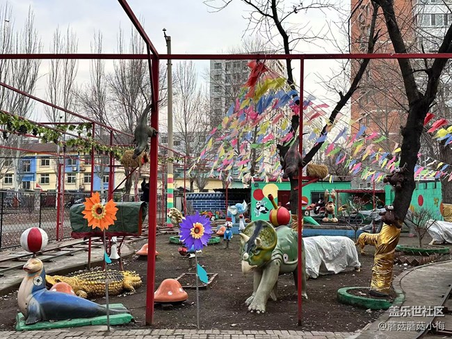 【回顧貼】冬游南湖公園~三星手機(jī)咔嚓咔嚓拍拍拍！