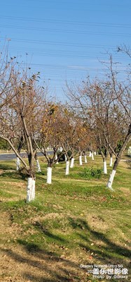 【如影隨形】色彩