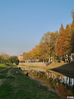 【如影隨形】+ 初冬河邊