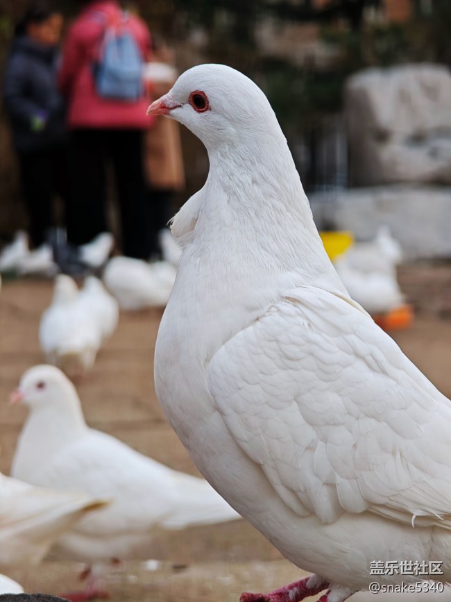 南湖公園攝影活動/回顧