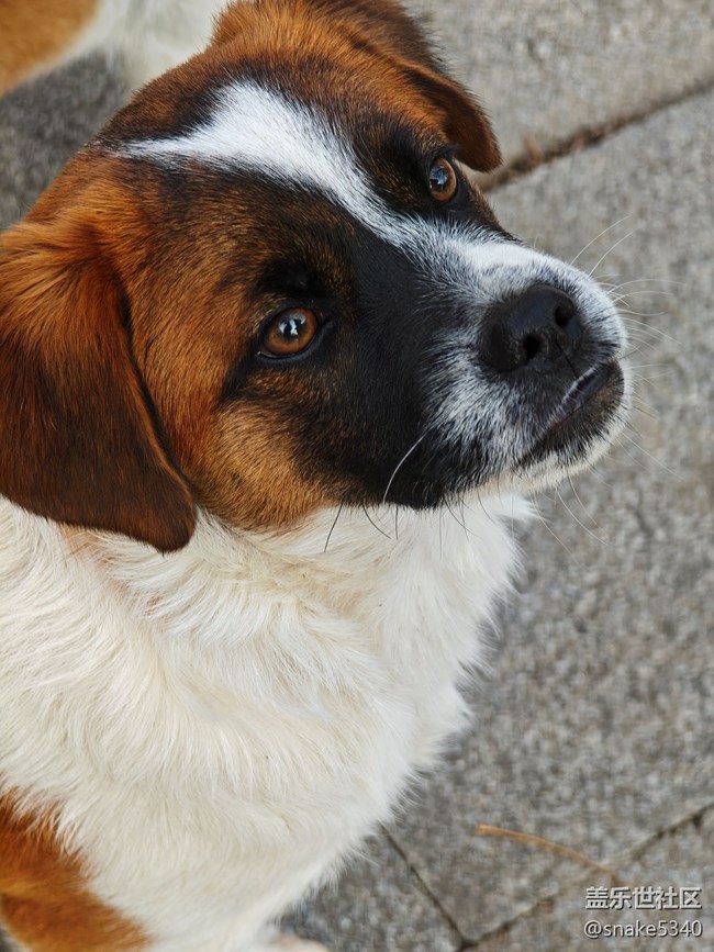 南湖公園攝影活動/回顧