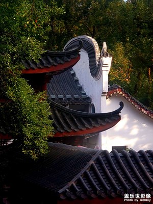 中國(guó)風(fēng)