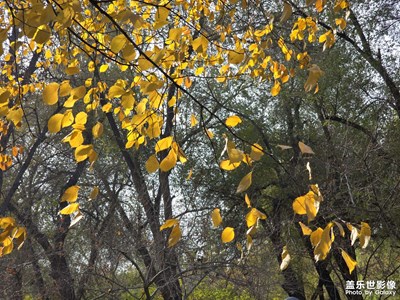 【如影隨形】+光影的故事