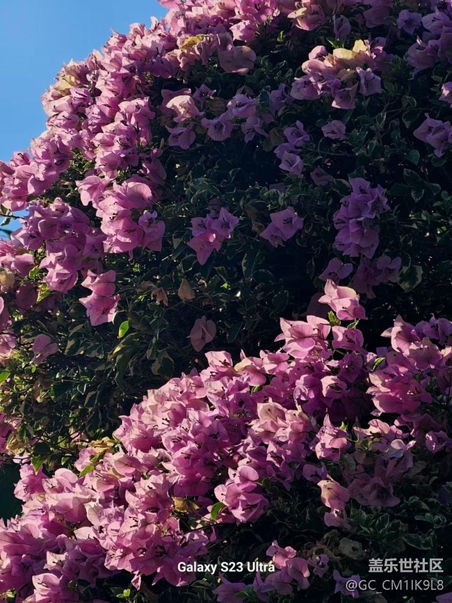 【2024再見】時光慢慢走