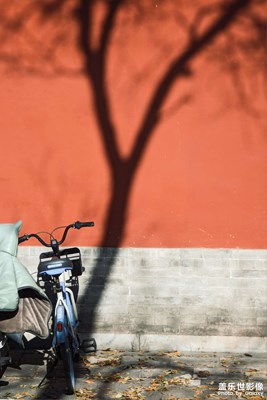 【如影隨形】一些有光的日子