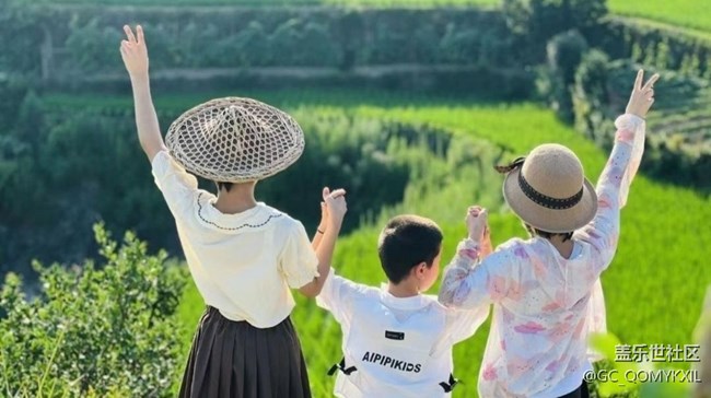 【Note手機里的春夏秋冬】夏季田野