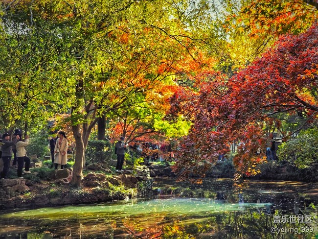 上海星部落11月30日秋霞圃線下攝影活動回顧帖