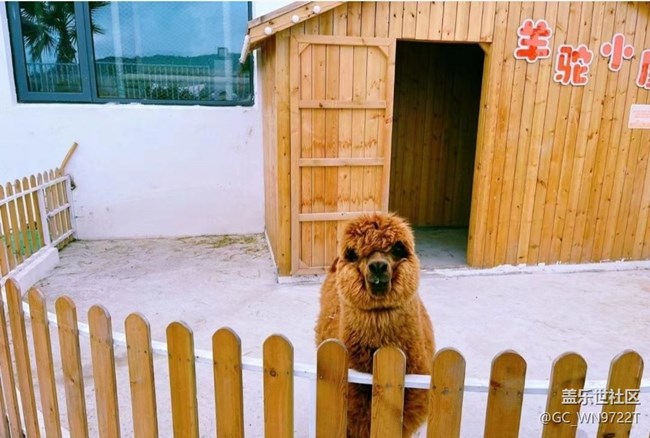 【Note手機里的春夏秋冬】吹海風