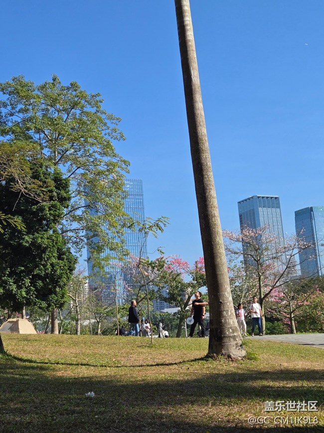 【2024再見】時光慢慢走