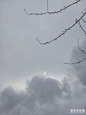 【如影隨形】+ 雪中景