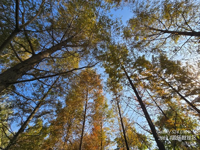 12.1 蘇州星部落 賞秋品鑒活動回顧