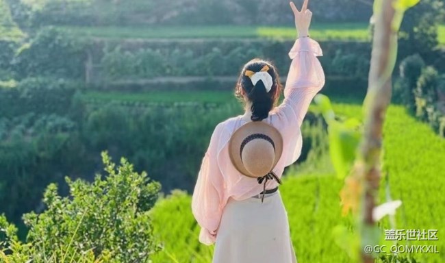 【Note手機里的春夏秋冬】夏季田野