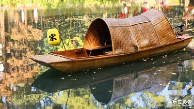 【如影隨形】+ 崇州罨畫池看銀杏