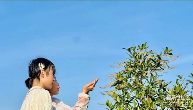 【Note手機里的春夏秋冬】夏季田野