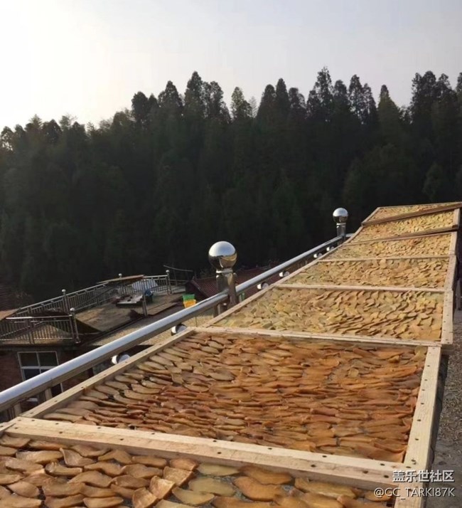 【2024再見】紅薯干