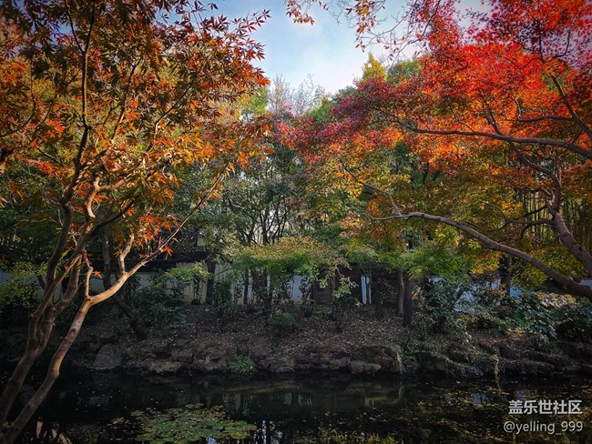 上海星部落11月30日秋霞圃線下攝影活動回顧帖