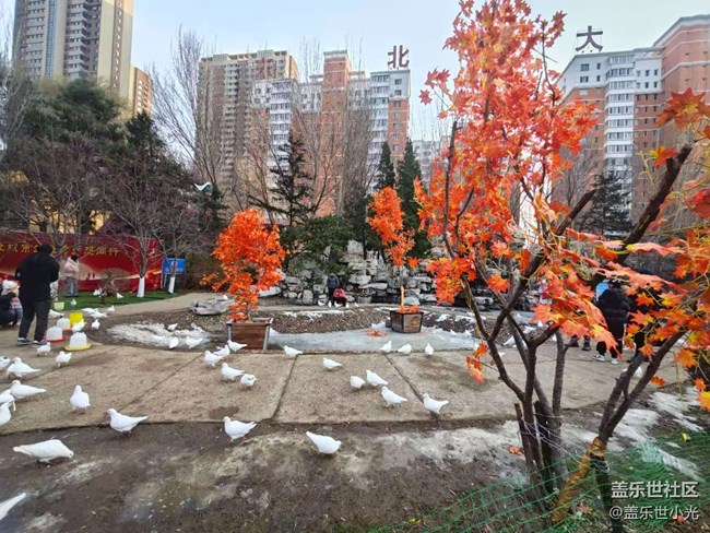 沈陽南湖公園行行攝攝活動回顧