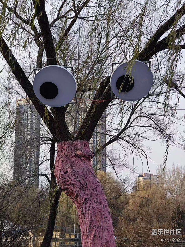 沈陽星部落南湖公園一日游攝影活動(dòng)回顧 沈陽星部落南湖公園一日游攝影活動(dòng)回顧