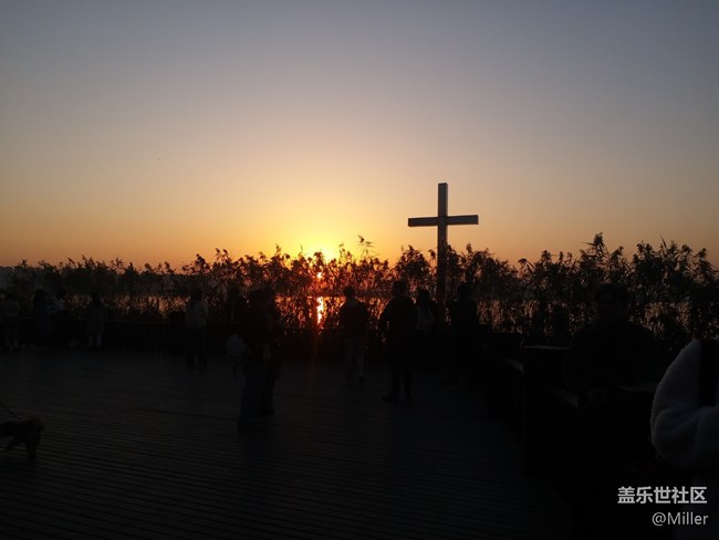 12.1 蘇州星部落 賞秋品鑒活動回顧