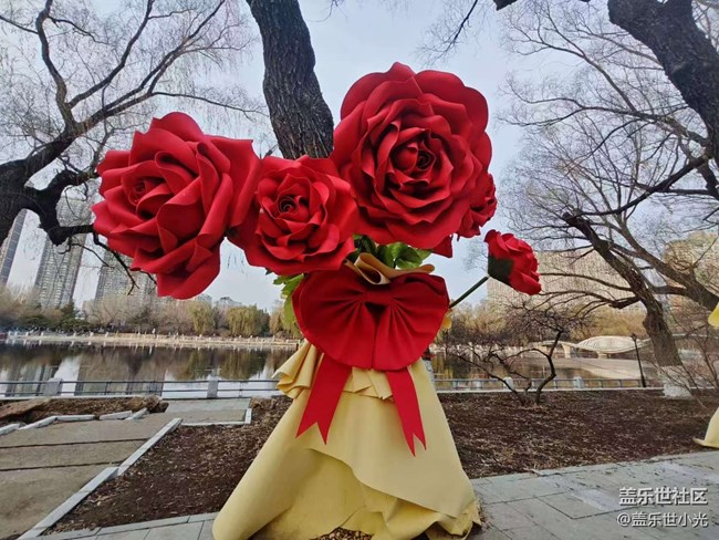 沈陽南湖公園行行攝攝活動回顧