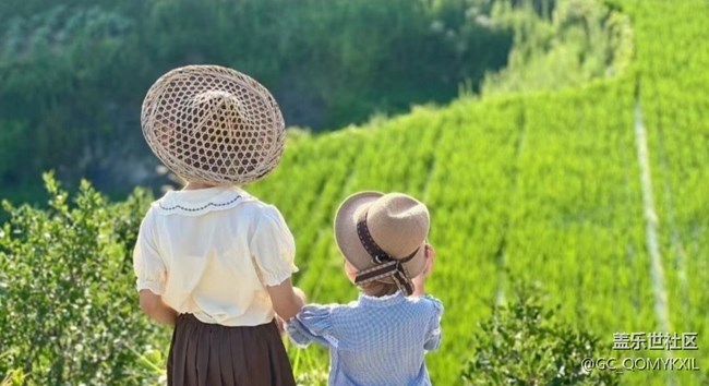 【Note手機里的春夏秋冬】夏季田野