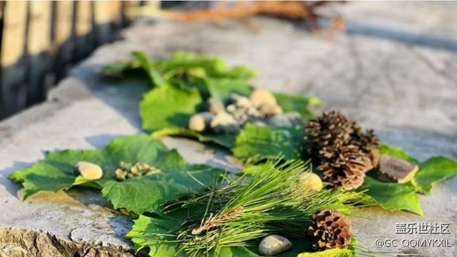 【Note手機里的春夏秋冬】夏季田野