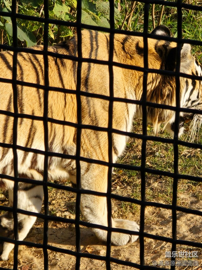 【武漢動(dòng)物園光影之旅】武漢星部落線(xiàn)下活動(dòng)總結(jié)帖