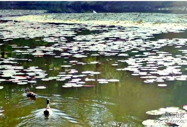 【2024再見】五一出游