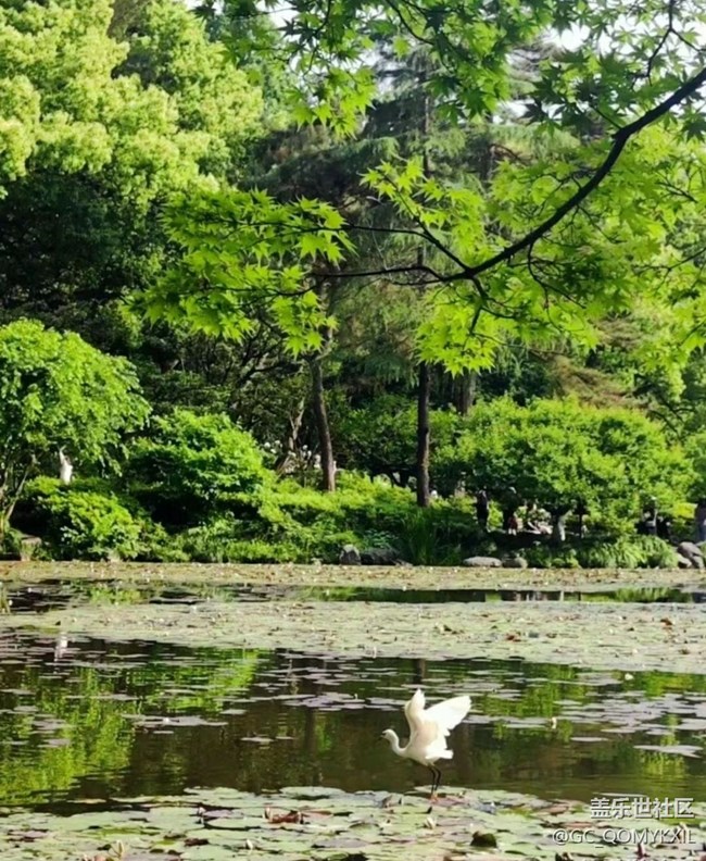 【2024再見】五一出游