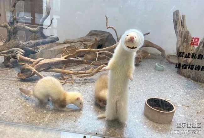 【Note手機里的春夏秋冬】吹海風