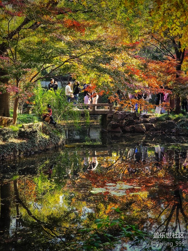 上海星部落11月30日秋霞圃線下攝影活動回顧帖