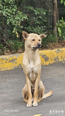 【如影隨形】+生活隨拍