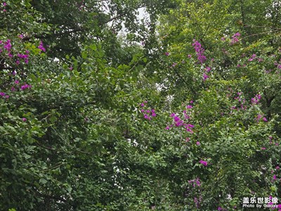 【如影隨形】+隨處都是風景