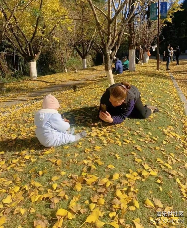 【金色回憶】溫暖午后