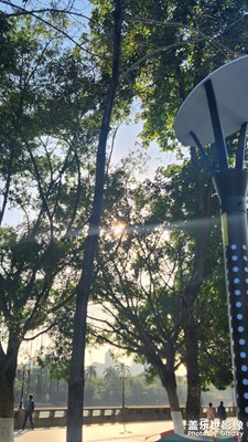 【如影隨形】+ 暖冬