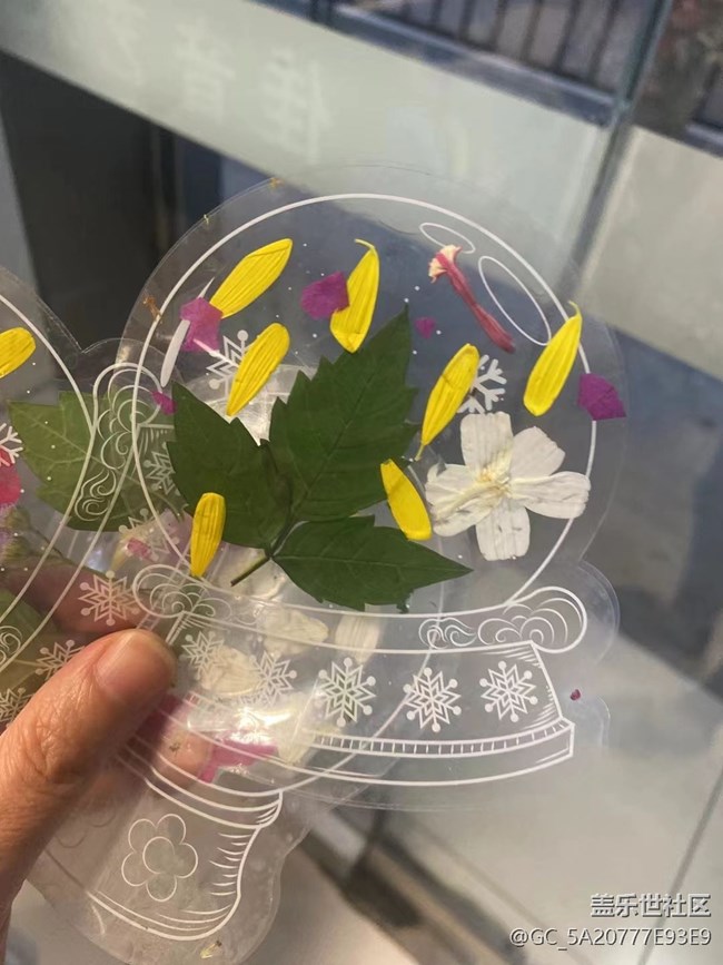 【金色回憶】秋葉