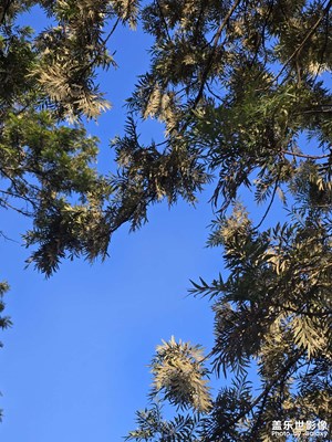 【如影隨形】+?秋時(shí)風(fēng)光