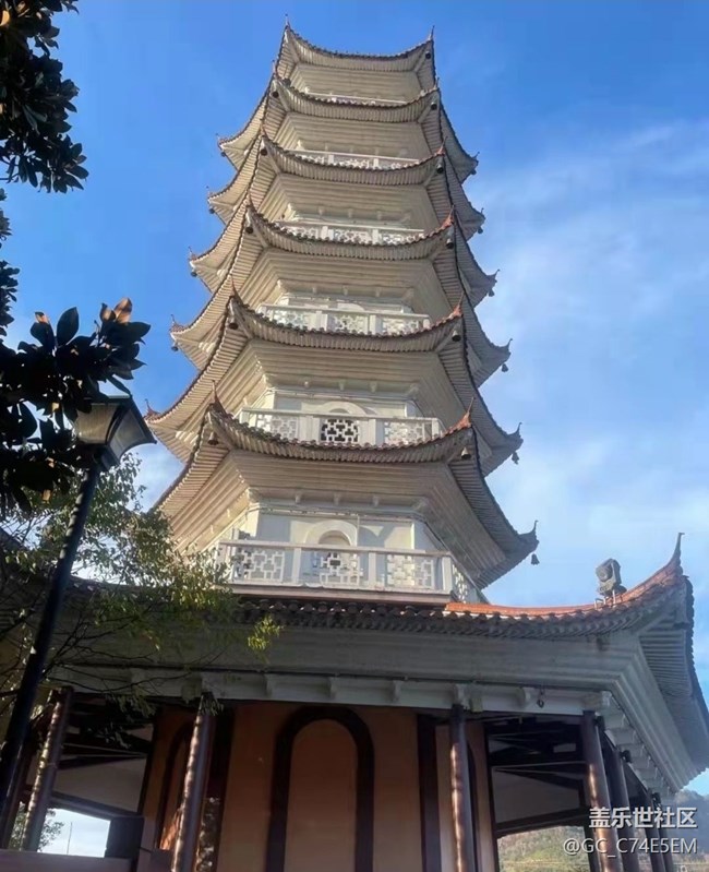 【金色回憶】溫暖午后