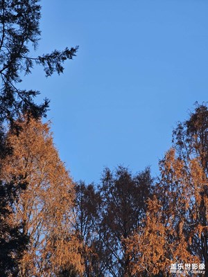 【如影隨形】+ 光與影的浪漫