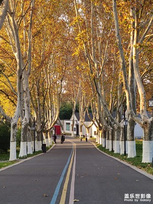 【如影隨形】傍晚的時光