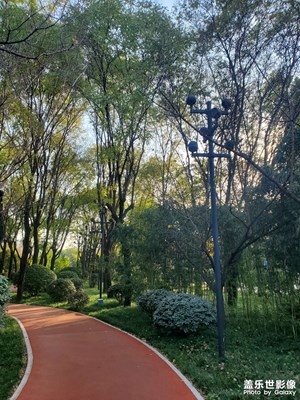 【如影隨形】冬日暖陽(yáng)