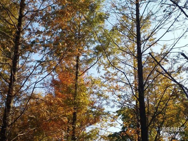 12.1 蘇州星部落 久違的活動(dòng)回顧