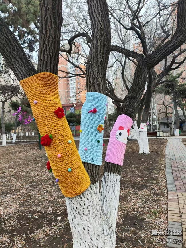 南湖公園攝影回顧貼